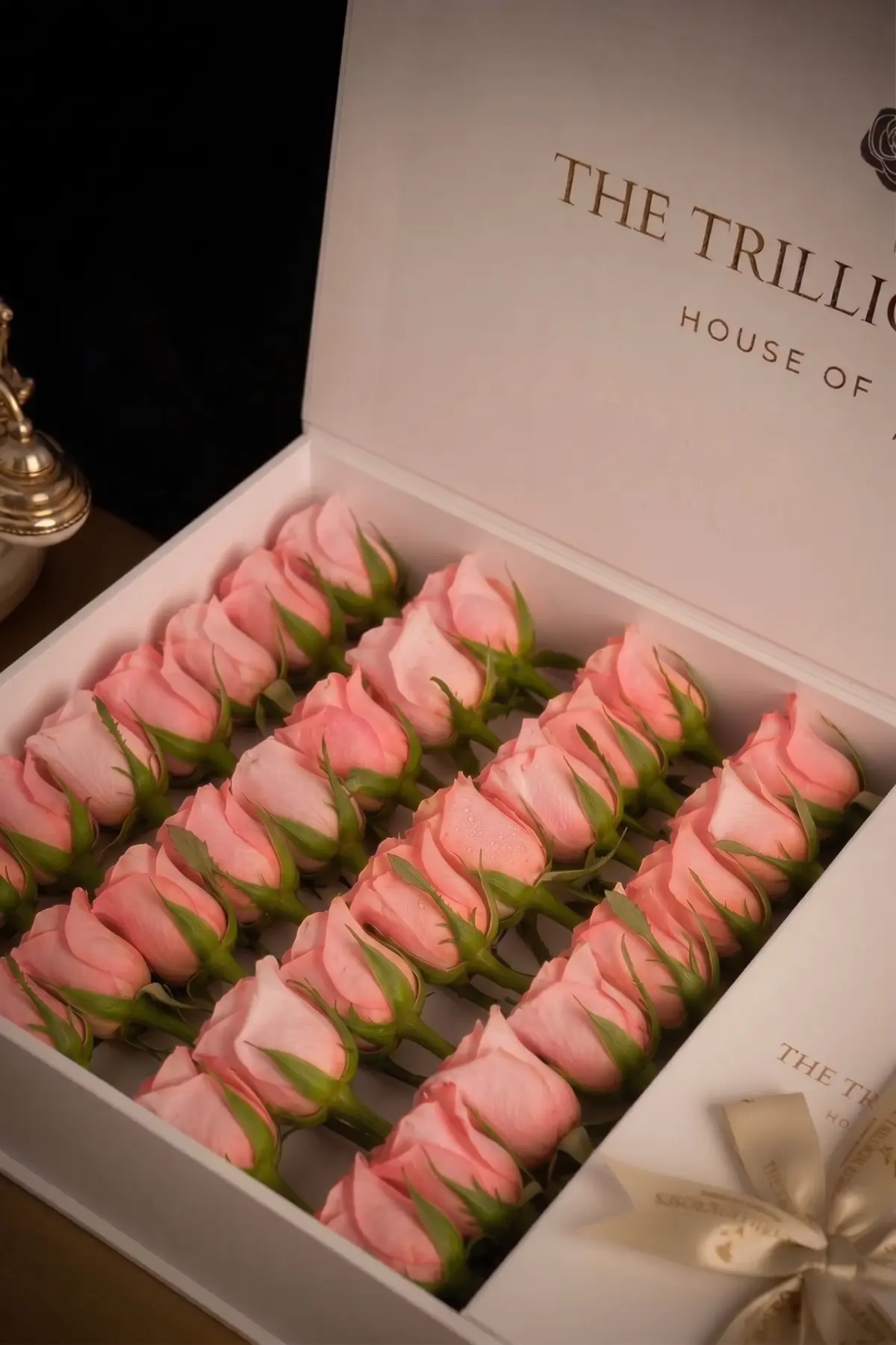 Blossom Blush White Box view 3