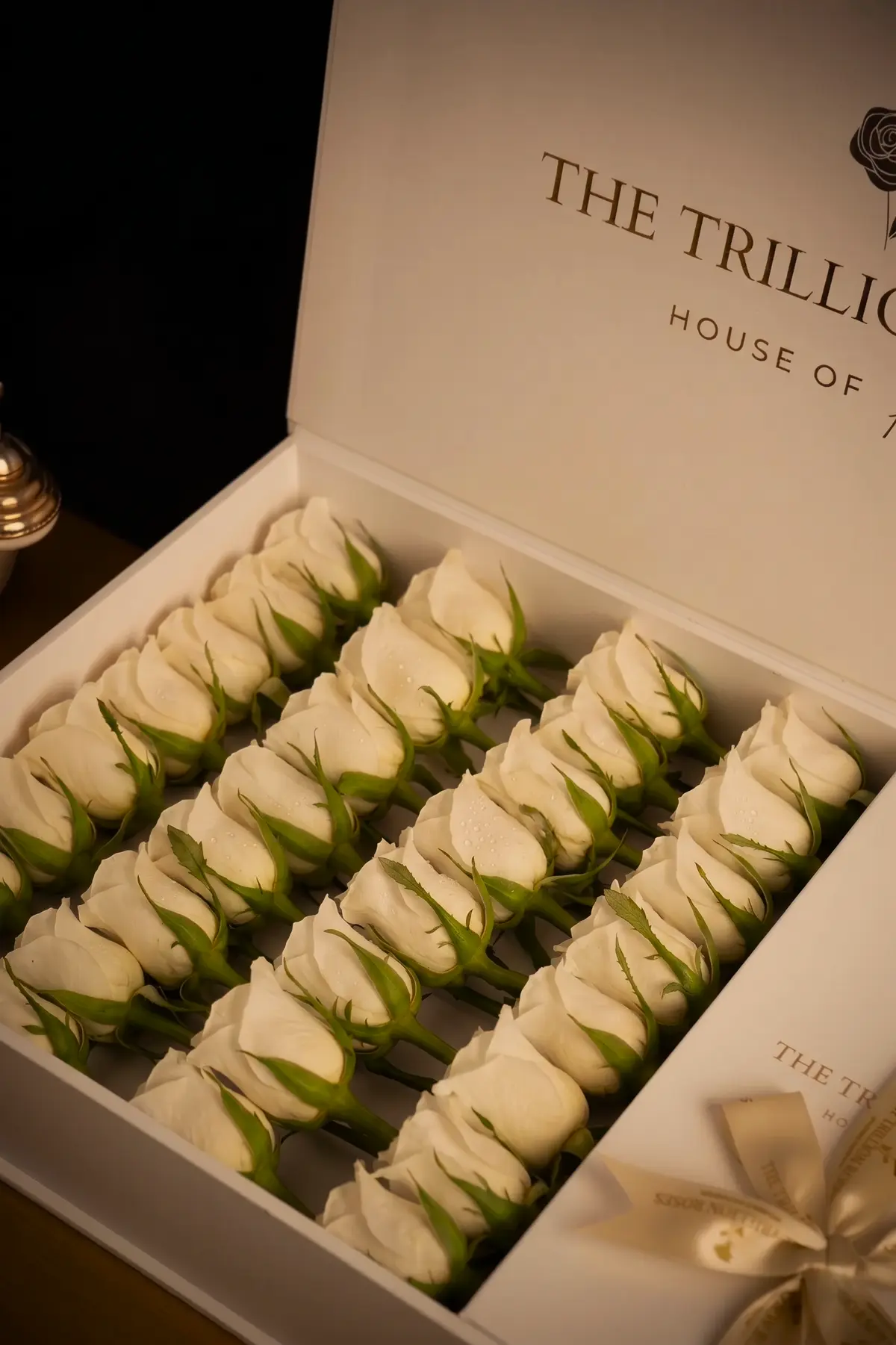 Blossom Blush White Box view 4