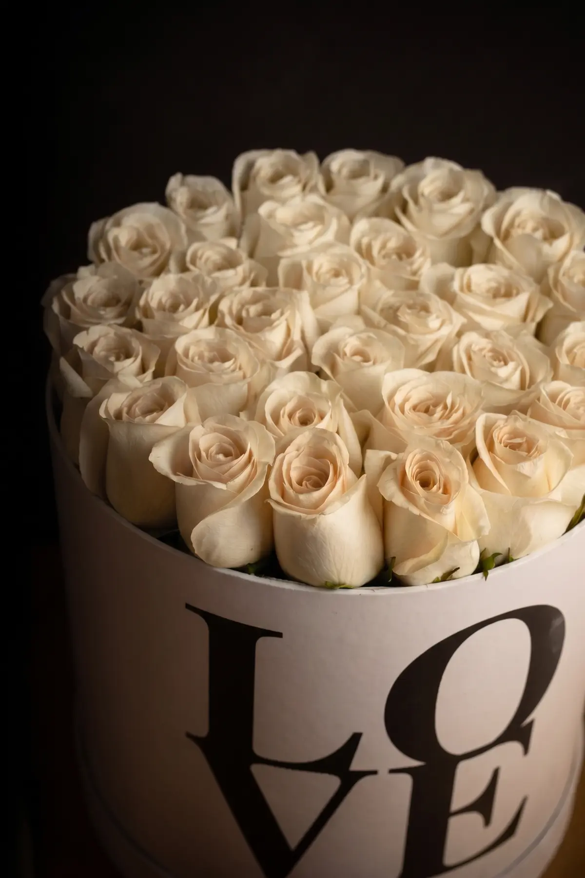 Love Box view 4
