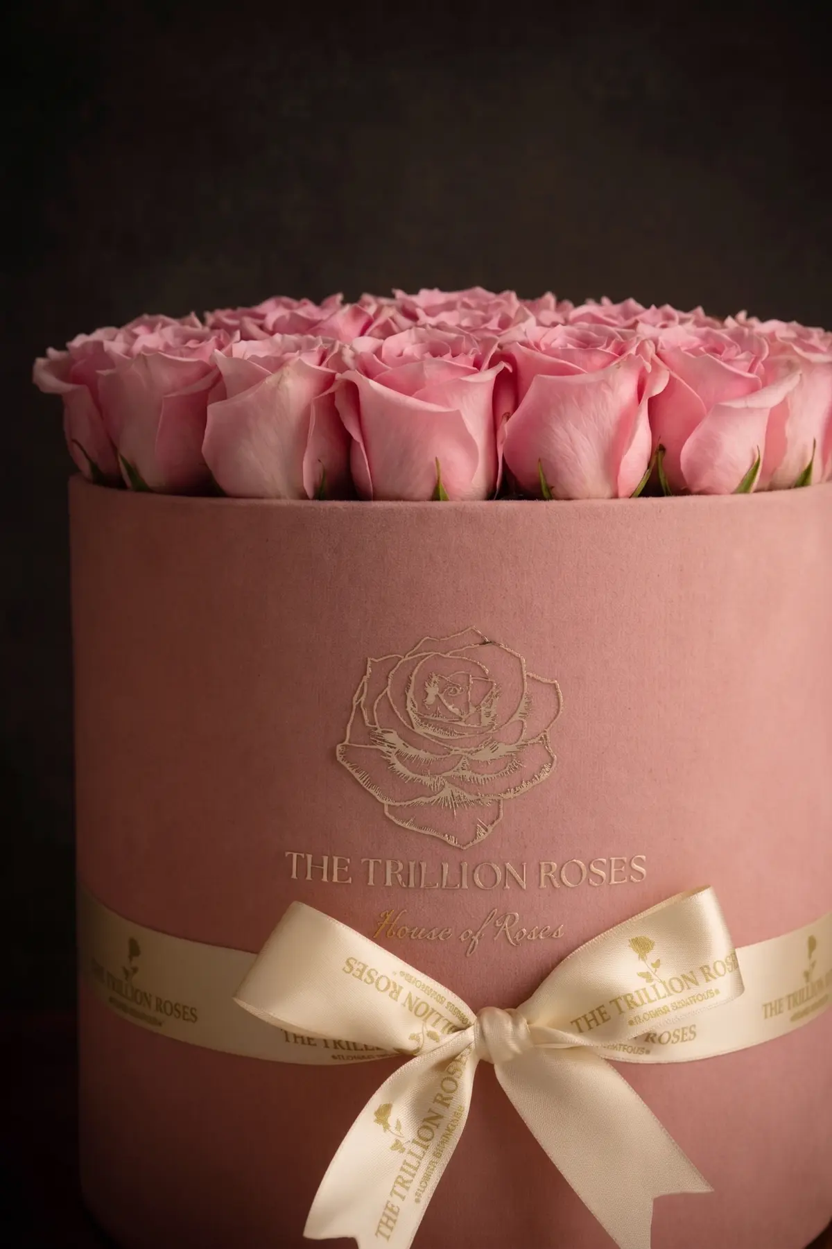 Pink Round Box view 4