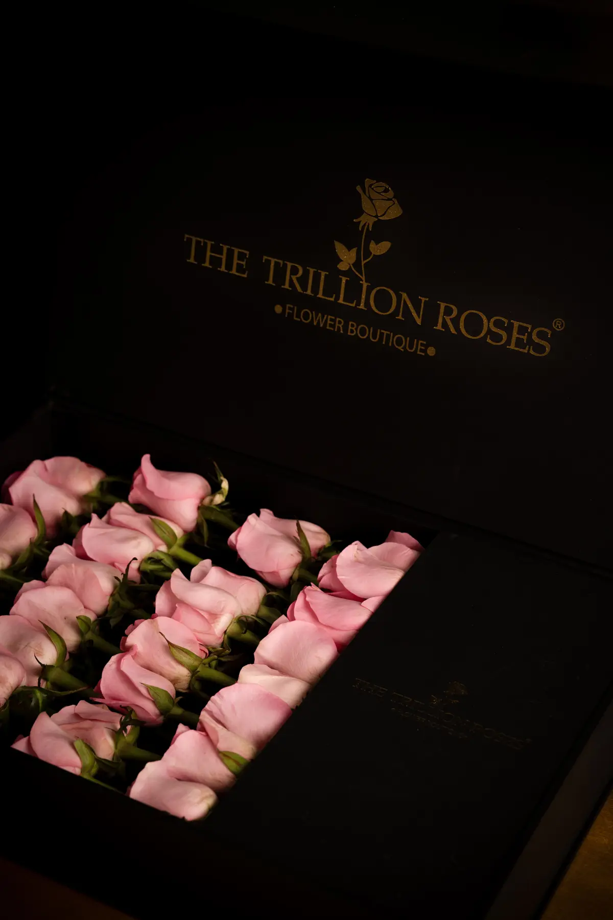 Blossom Blush Black Box view 3